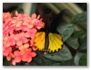 image00090.jpg